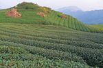 2020 Taiwan Tourism Guide Book