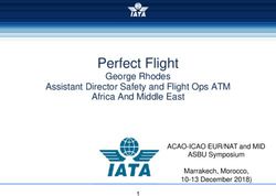 Perfect Flight George Rhodes Assistant Director Safety and Flight Ops ATM Africa And Middle East - ICAO