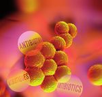 DART 2020 2nd Interim Report 2017 - G20 Research Group