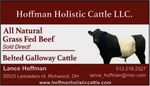 US Beltie News - Belted Galloway Society