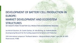 DEVELOPMENT OF BATTERY CELL PRODUCTION IN EUROPE: MARKET DEVELOPMENT AND ECOSYSTEM STRUCTURES