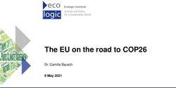 The EU on the road to COP26 - 6 May 2021 Dr. Camilla Bausch - Ecologic Institute