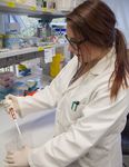 Honours and Masters 2019 - Department of Biochemistry and Molecular Biology Faculty of Medicine, Dentistry and Health Sciences - School of ...