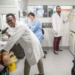 Honours and Masters 2019 - Department of Biochemistry and Molecular Biology Faculty of Medicine, Dentistry and Health Sciences - School of ...