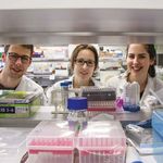 Honours and Masters 2019 - Department of Biochemistry and Molecular Biology Faculty of Medicine, Dentistry and Health Sciences - School of ...