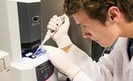 Honours and Masters 2019 - Department of Biochemistry and Molecular Biology Faculty of Medicine, Dentistry and Health Sciences - School of ...