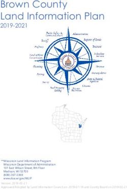 Brown County Land Information Plan 2019-2021 - Land Information Office