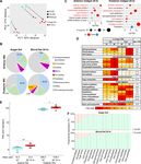 A transcriptomic atlas of Aedes aegypti reveals detailed functional organization of major body parts and gut regional specializations in sugar...