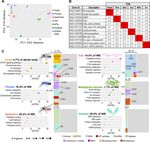 A transcriptomic atlas of Aedes aegypti reveals detailed functional organization of major body parts and gut regional specializations in sugar...