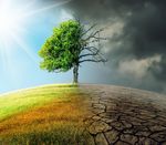 COSTING THE EARTH - CLIMATE DAMAGE COSTS AND GDP