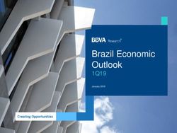 Brazil Economic Outlook - 1Q19 - BBVA Research