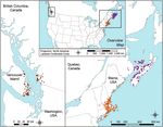Predicting the invasion range for a highly polyphagous and widespread forest herbivore