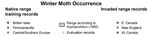 Predicting the invasion range for a highly polyphagous and widespread forest herbivore