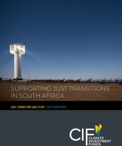 SUPPORTING JUST TRANSITIONS IN SOUTH AFRICA - JUST TRANSITION CASE STUDY - SEPTEMBER 2020 - Climate Investment ...