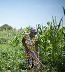 FAO-WFP early warning analysis of acute food insecurity hotspots - October 2020
