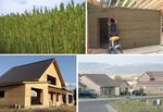 Hemp: The Sustainable Solution for a Greener Future