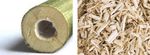 Hemp: The Sustainable Solution for a Greener Future