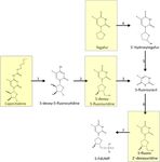Cardiotoxicity of Fluoropyrimidines: Epidemiology, Mechanisms, Diagnosis, and Management - MDPI