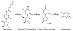 Cardiotoxicity of Fluoropyrimidines: Epidemiology, Mechanisms, Diagnosis, and Management - MDPI