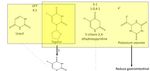 Cardiotoxicity of Fluoropyrimidines: Epidemiology, Mechanisms, Diagnosis, and Management - MDPI