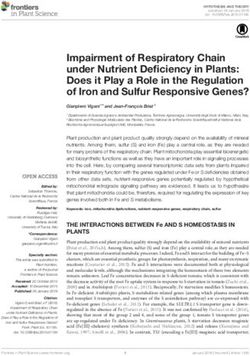 Impairment of Respiratory Chain under Nutrient Deficiency in Plants: Does it Play a Role in the Regulation of Iron and Sulfur Responsive Genes?
