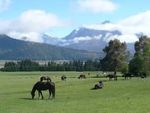 The Tekapo Expedition New Zealand - (Base to Lake)