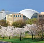 PEACEWORKs - Afghanistan-Pakistan ties and Future stability in Afghanistan By Elizabeth Threlkeld and Grace Easterly