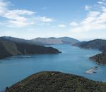 SALMON BIOSECURITY STANDARDS - New Zealand ...