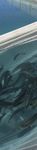 SALMON BIOSECURITY STANDARDS - New Zealand ...