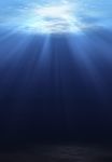 SALMON BIOSECURITY STANDARDS - New Zealand ...