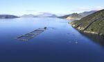 SALMON BIOSECURITY STANDARDS - New Zealand ...