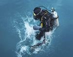 SALMON BIOSECURITY STANDARDS - New Zealand ...