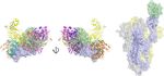 A CROSS-REACTIVE HUMAN IGA MONOCLONAL ANTIBODY BLOCKS SARS-COV-2 SPIKE-ACE2 INTERACTION - NATURE