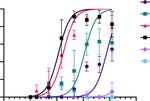 A CROSS-REACTIVE HUMAN IGA MONOCLONAL ANTIBODY BLOCKS SARS-COV-2 SPIKE-ACE2 INTERACTION - NATURE