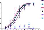A CROSS-REACTIVE HUMAN IGA MONOCLONAL ANTIBODY BLOCKS SARS-COV-2 SPIKE-ACE2 INTERACTION - NATURE