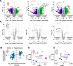 Heterogeneous Expression of Nuclear Encoded Mitochondrial Genes Distinguishes Inhibitory and Excitatory Neurons