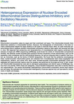 Heterogeneous Expression of Nuclear Encoded Mitochondrial Genes Distinguishes Inhibitory and Excitatory Neurons