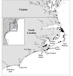 COMMON BOTTLENOSE DOLPHIN (Tursiops truncatus truncatus) Northern North Carolina Estuarine System Stock