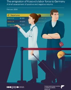 The emigration of Kosovo's labor force to Germany - A brief assessment of positive and negative returns - Instituti GAP