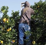 HEAT ILLNESS PREVENTION PLAN - COMPANY NAME TITAN AG SERVICES, INC.