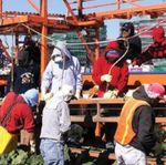 HEAT ILLNESS PREVENTION PLAN - COMPANY NAME TITAN AG SERVICES, INC.