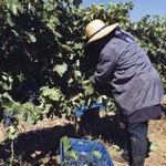 HEAT ILLNESS PREVENTION PLAN - COMPANY NAME TITAN AG SERVICES, INC.