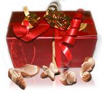 JEFF DE BRUGES New Product: Sugar-free chocolates - Barbier Hugo Bitterol Julien Dupont Guillaume SaukkoSinni