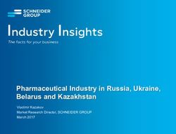 Pharmaceutical Industry in Russia, Ukraine, Belarus and Kazakhstan - Vladimir Kazakov Market Research Director, SCHNEIDER GROUP March 2017