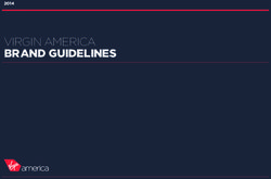 BRAND GUIDELINES VIRGIN AMERICA 2014