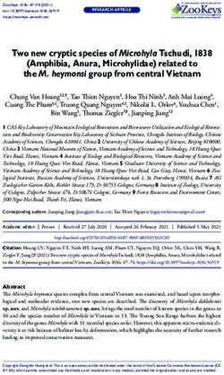 Two new cryptic species of Microhyla Tschudi, 1838 (Amphibia, Anura, Microhylidae) related to the M. heymonsi group from central Vietnam - ZooKeys