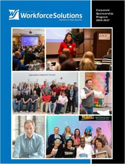 Corporate Sponsorship Program 2020-2021 - LFCC ...