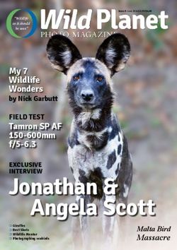 Jonathan & Angela Scott - Malta Bird