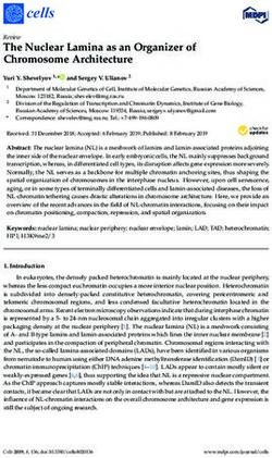 The Nuclear Lamina as an Organizer of Chromosome Architecture - MDPI