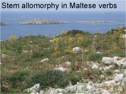 The inflectional verb forms of Maltese - Stem allomorphy in Maltese verbs